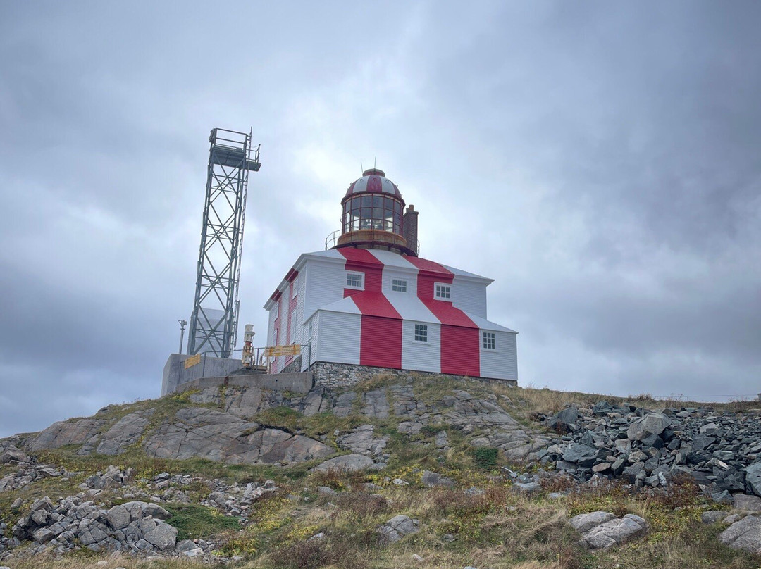 Cape Bonavista Lighthouse景点图片