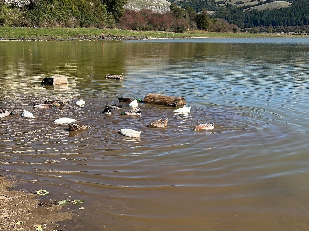 Lago Laceno景点图片