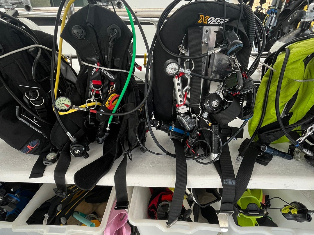 Voglia di Mare Diving Center景点图片