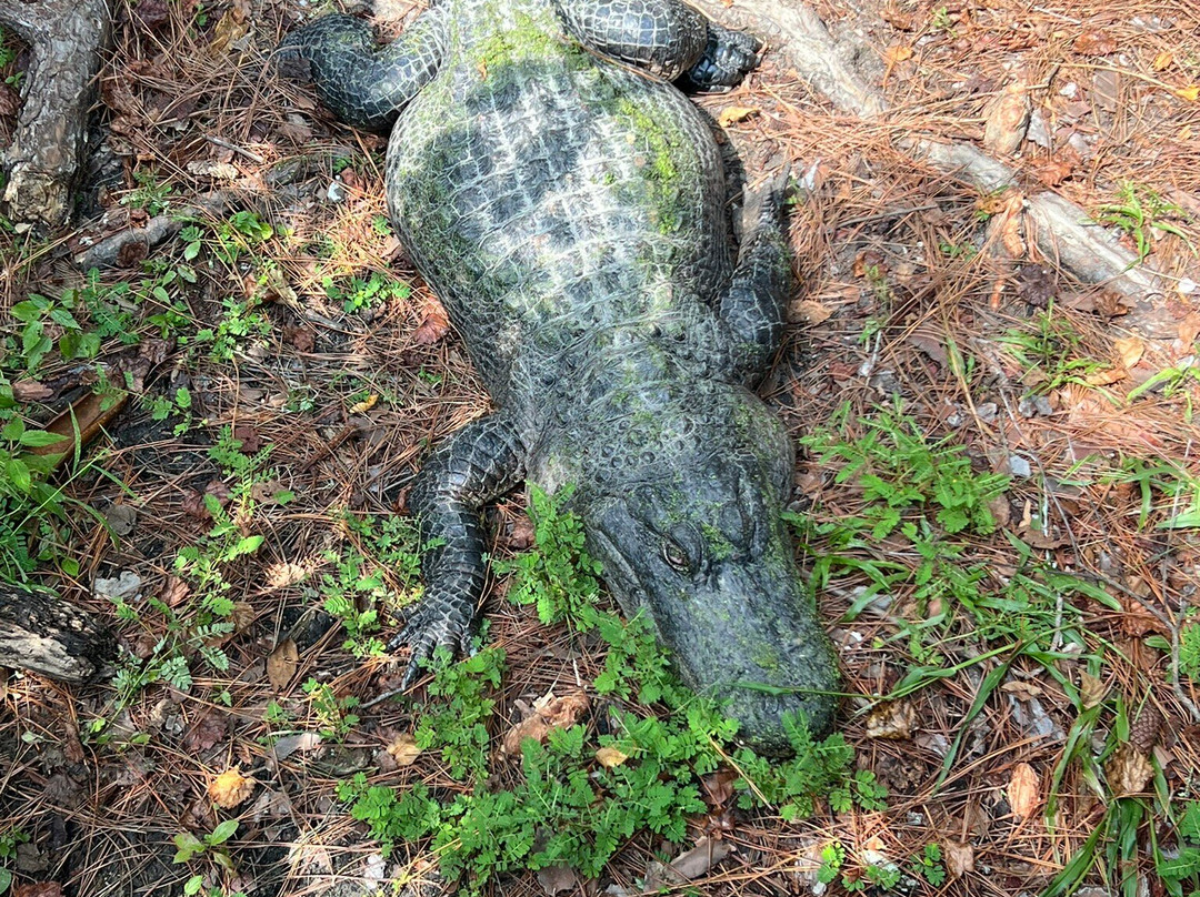 Chehaw Park & Zoo-奥尔巴尼必去景点
