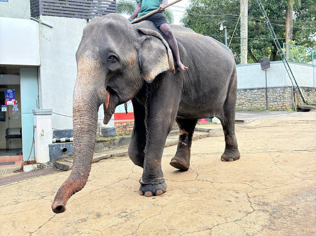 Sri Lanka Holiday Partner-Kotte必去景点