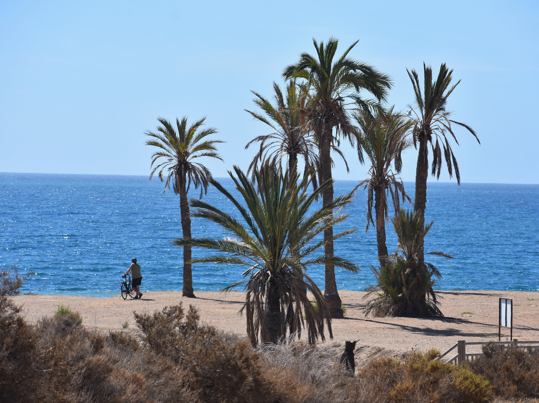 Playa Negra-穆尔西亚马萨龙港必去景点