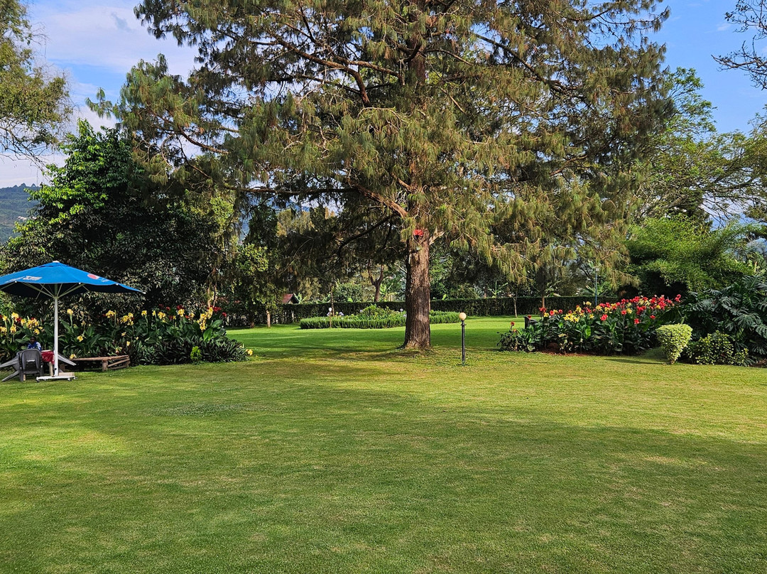 White Horse Inn主图