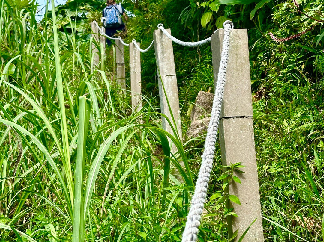 Mount Scenery-Windwardside必去景点