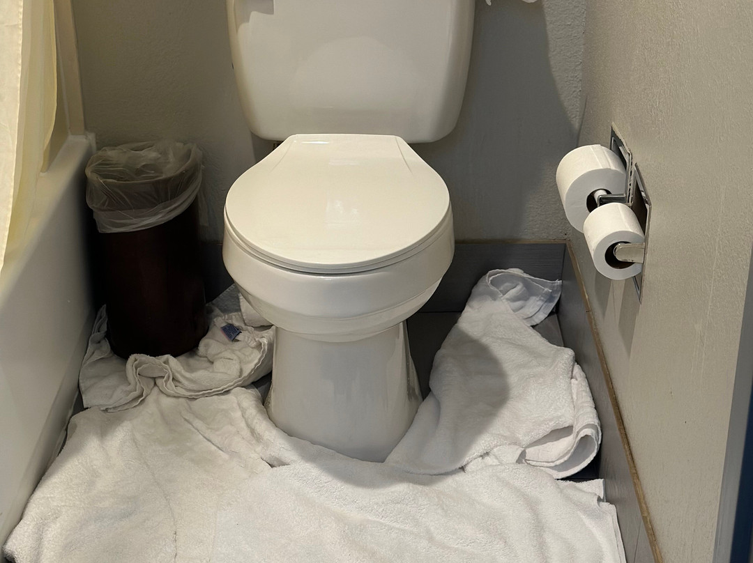 Best Western Carlton Suites主图