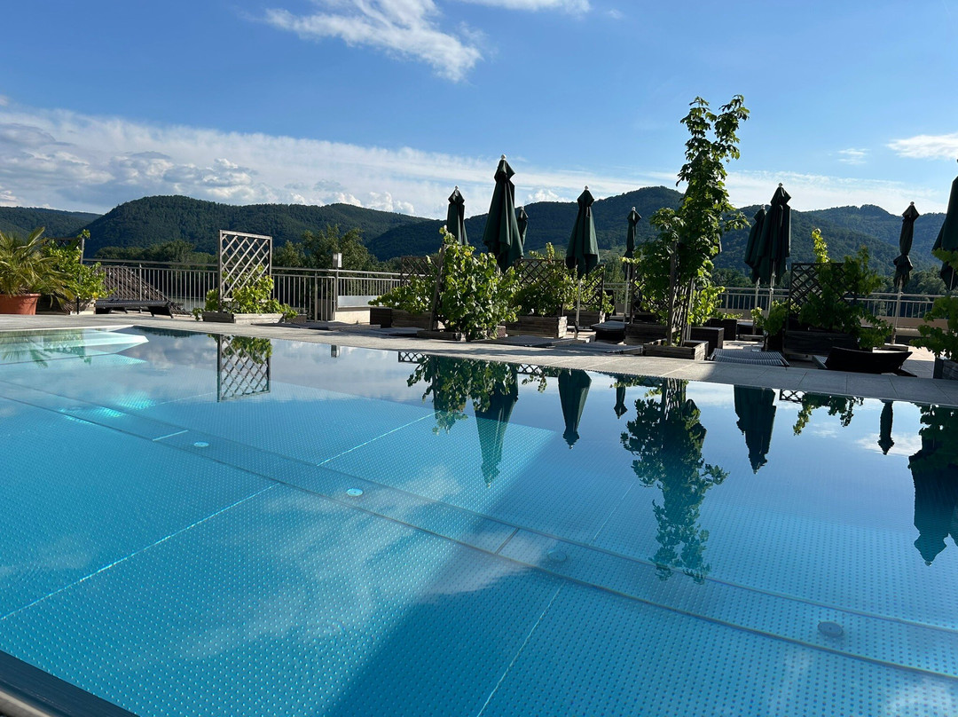 Gartenhotel & Weingut Pfeffel Durnstein主图