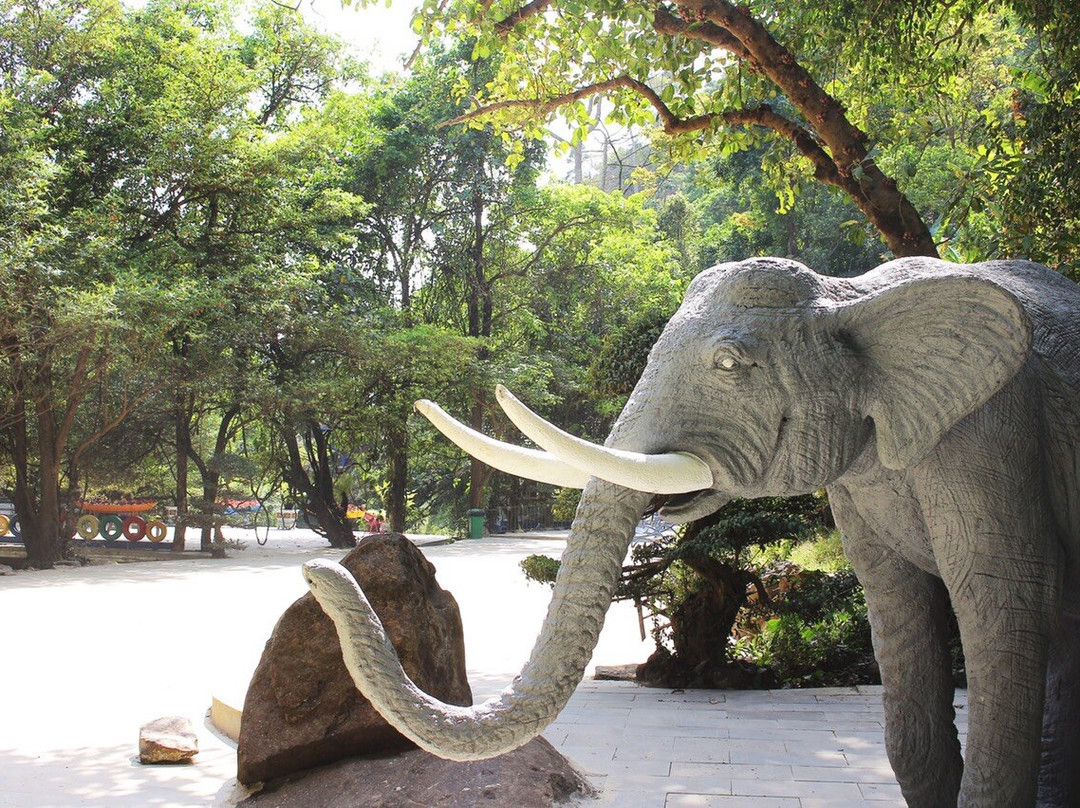 Tea Bobla Waterfall-Di Linh必去景点