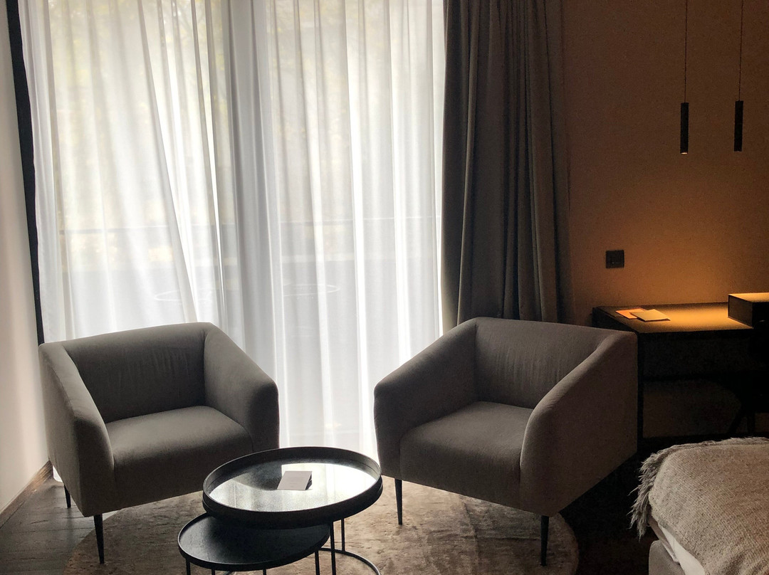 Hotel Sanglier主图