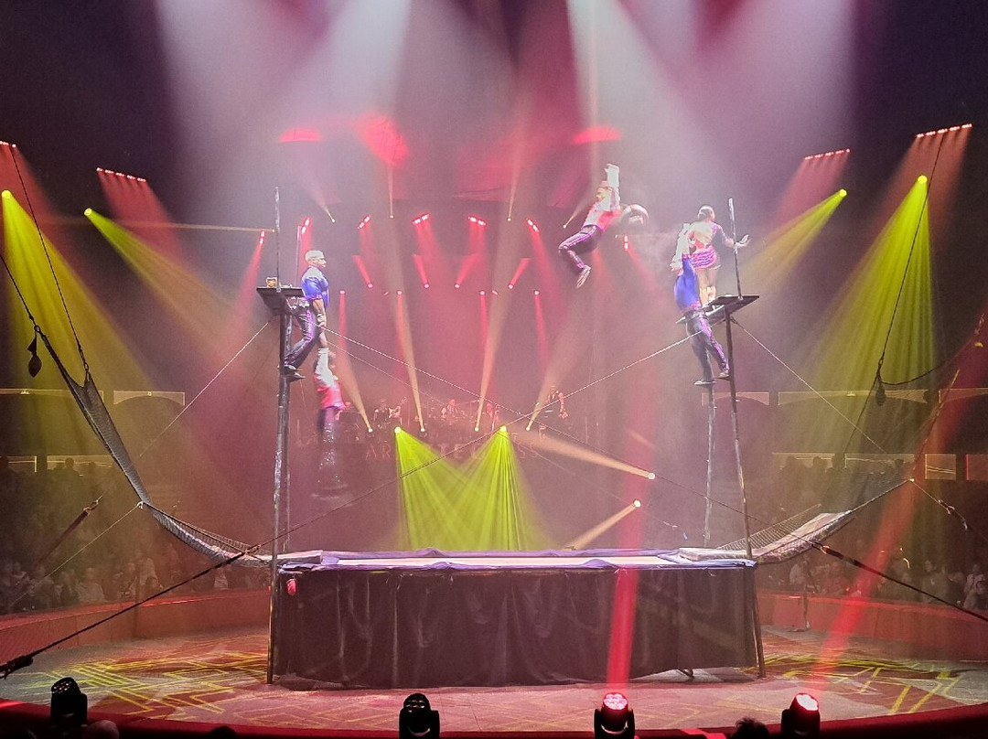 Cirque Arlette Gruss-亚眠必去景点