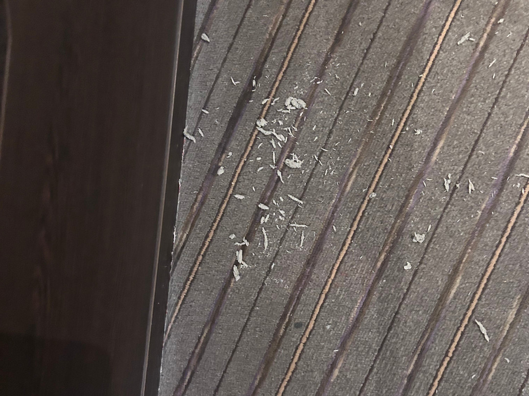 Premier Inn Blackburn Town Centre Hotel主图