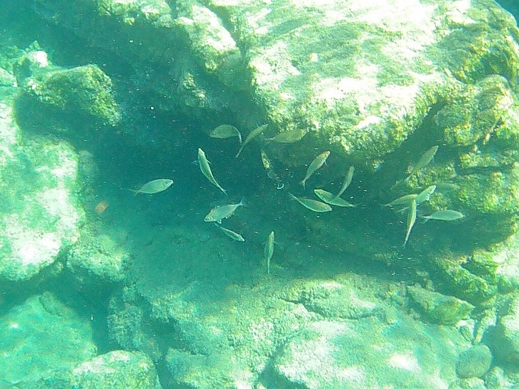 Agios Pavlos Hotel主图