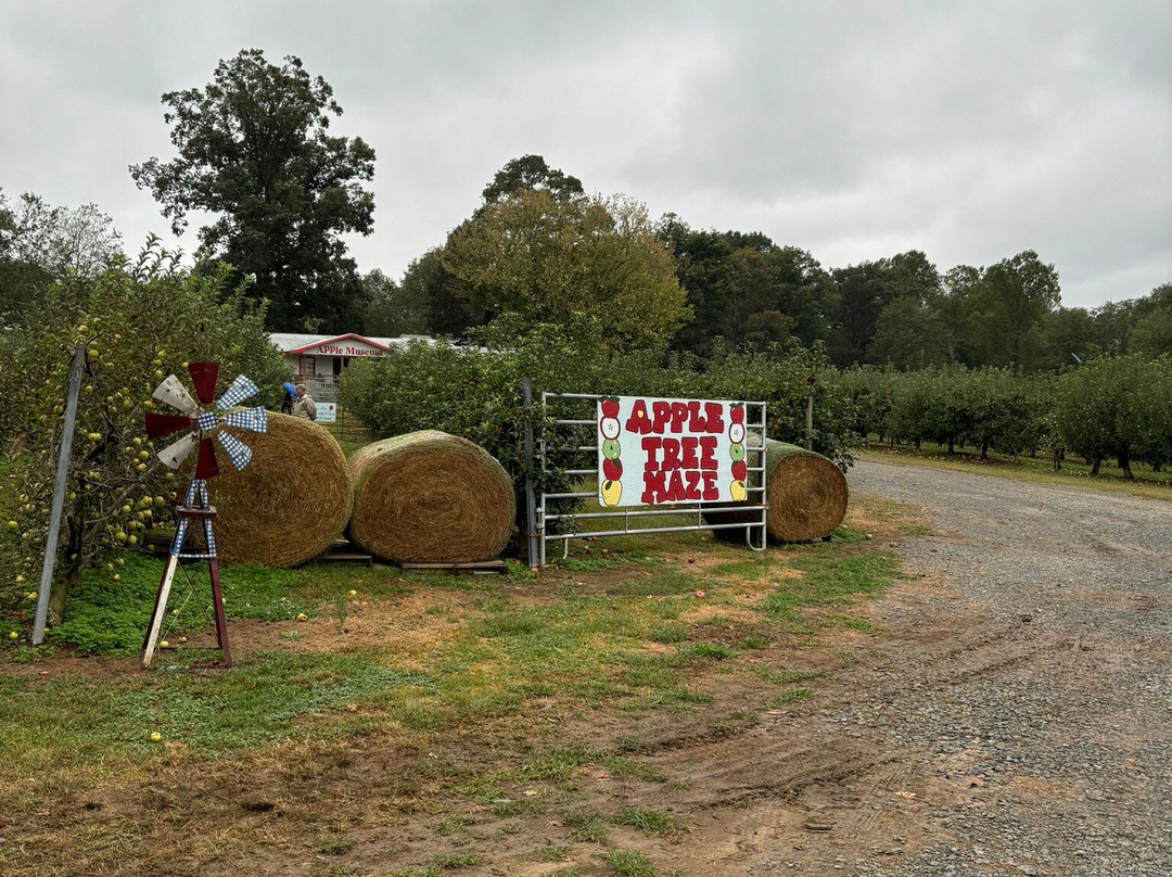 Hillcrest Orchards-Ellijay必去景点