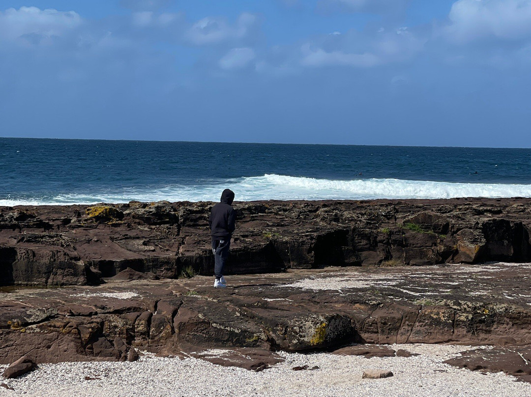 Shellharbour Village Motel主图