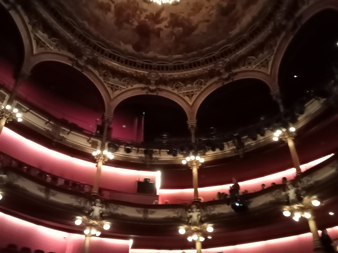Théâtre des Celestins-里昂必去景点