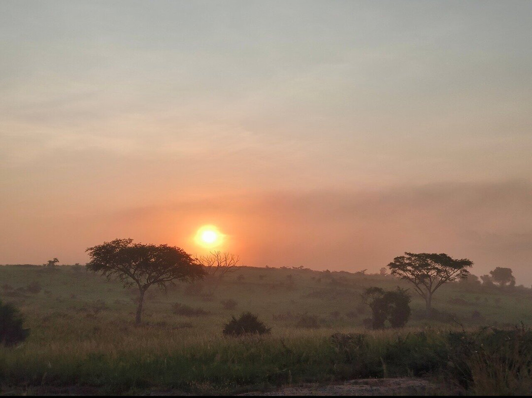 Jambo Eco Tours & Safaris-坎帕拉必去景点