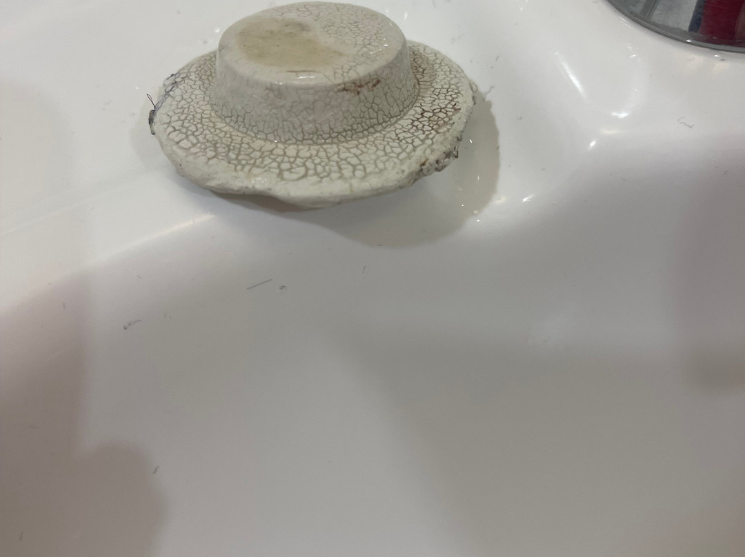 Quality Inn & Suites Traralgon主图