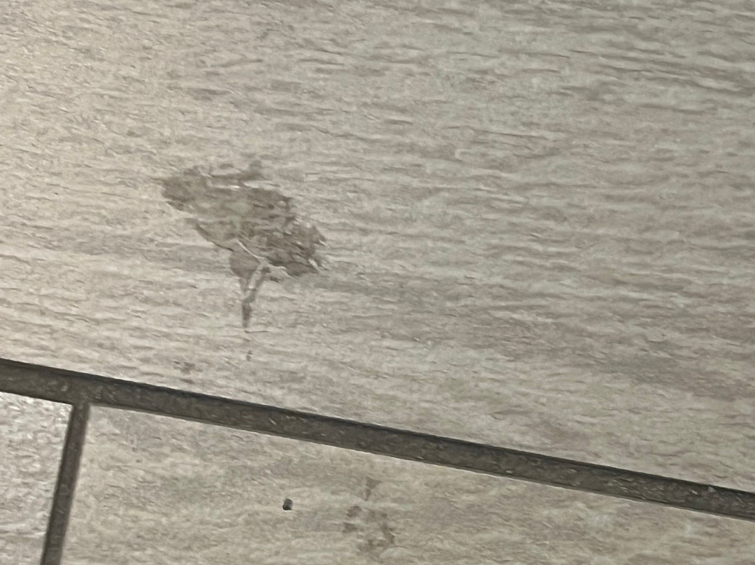 伯灵顿智选假日酒店主图