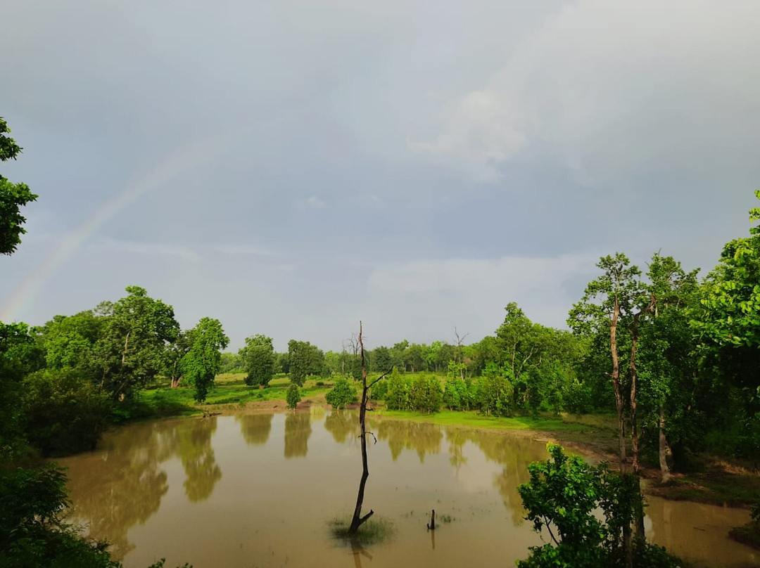 Emerald Experiences-Umaria必去景点