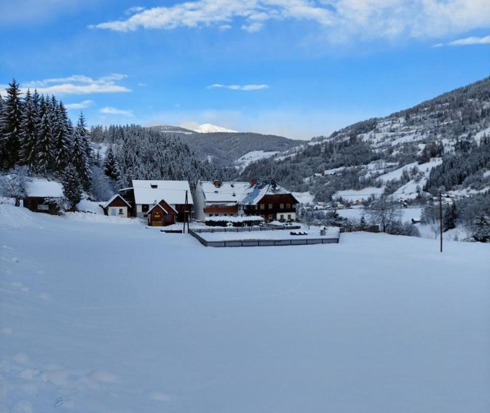 Pension Edlinger主图