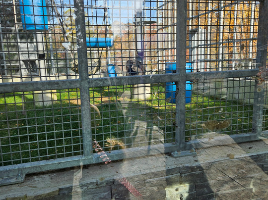 Hovatter's Wildlife Zoo-Kingwood必去景点