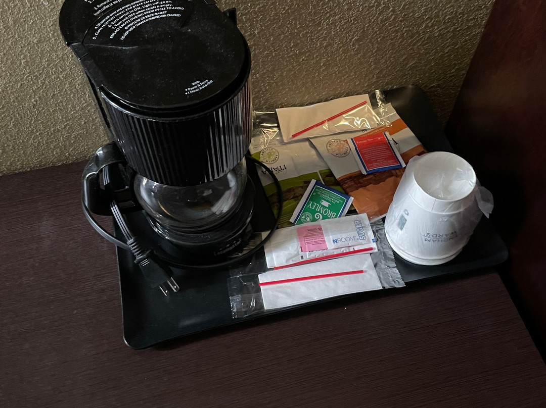 博柔温德姆花园酒店主图