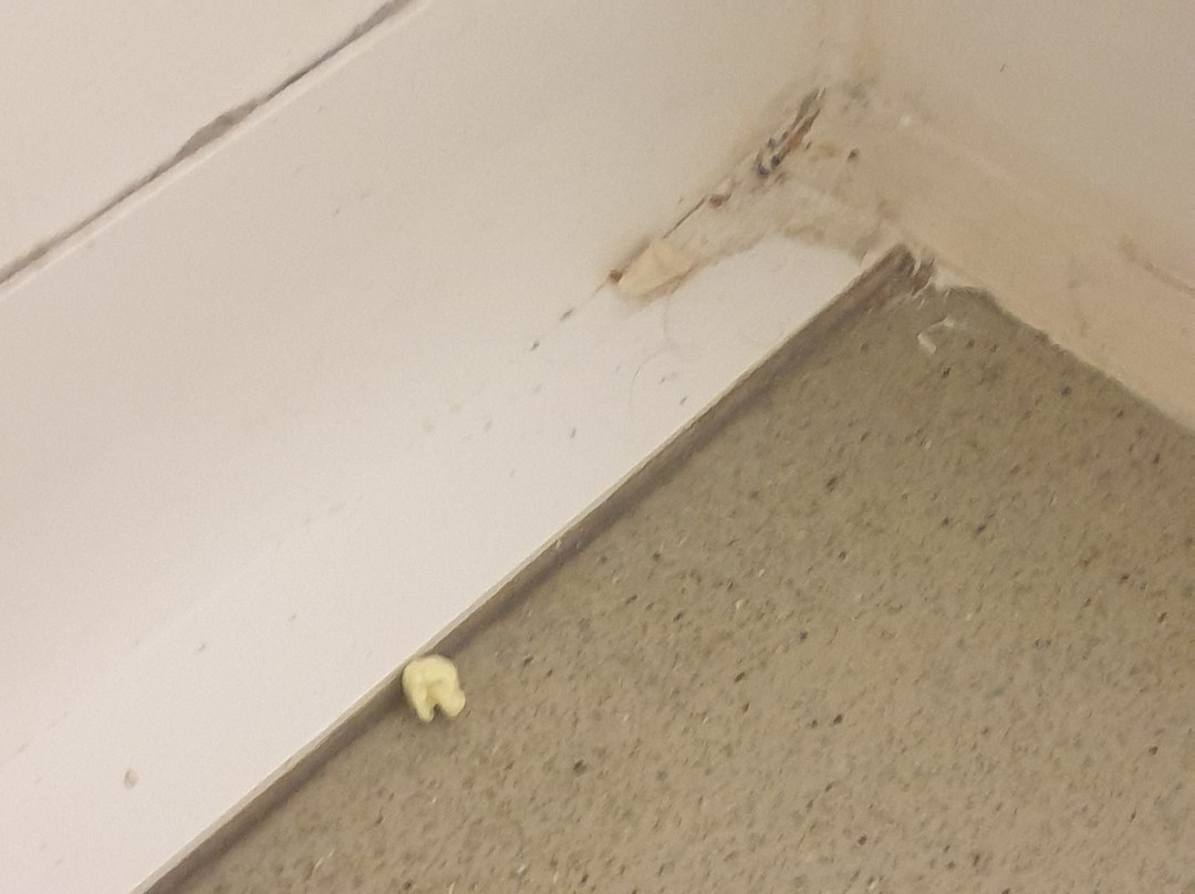 梯也尔宜必思快捷酒店主图