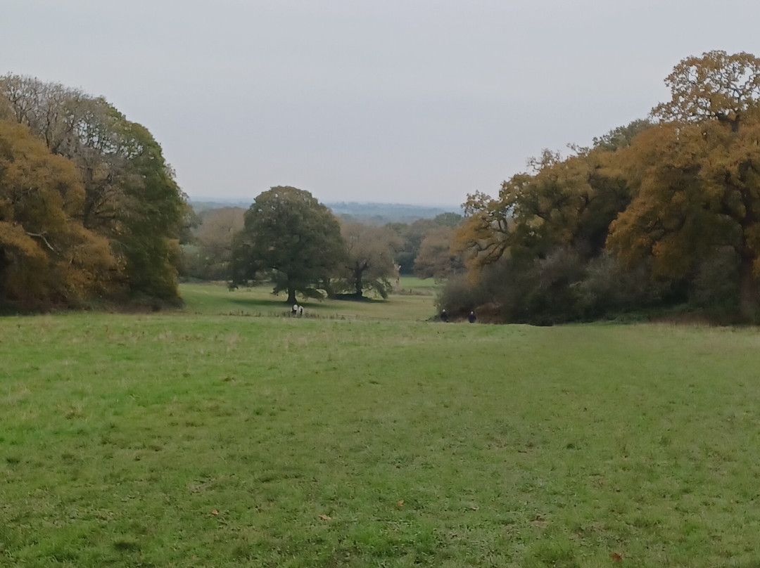 Hatchlands Park NT-吉尔福德必去景点