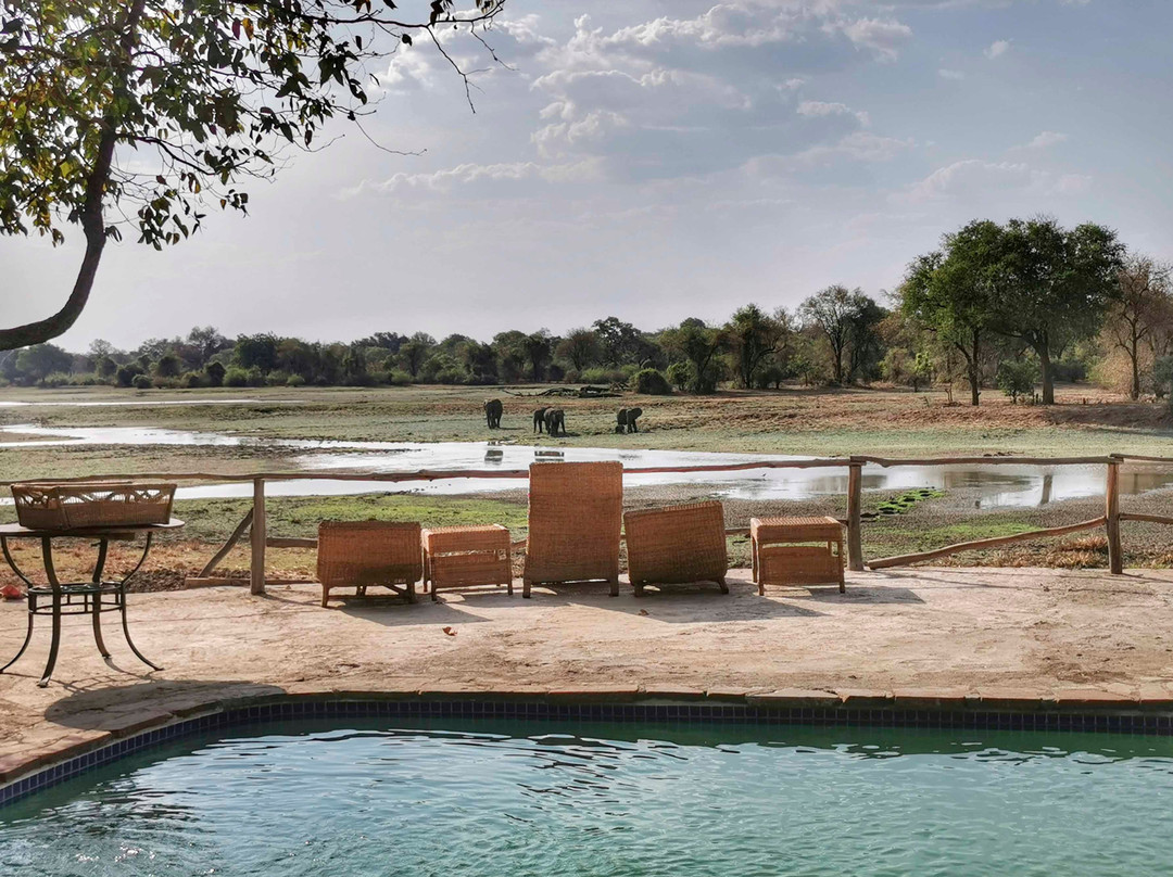 Njobvu Safari主图