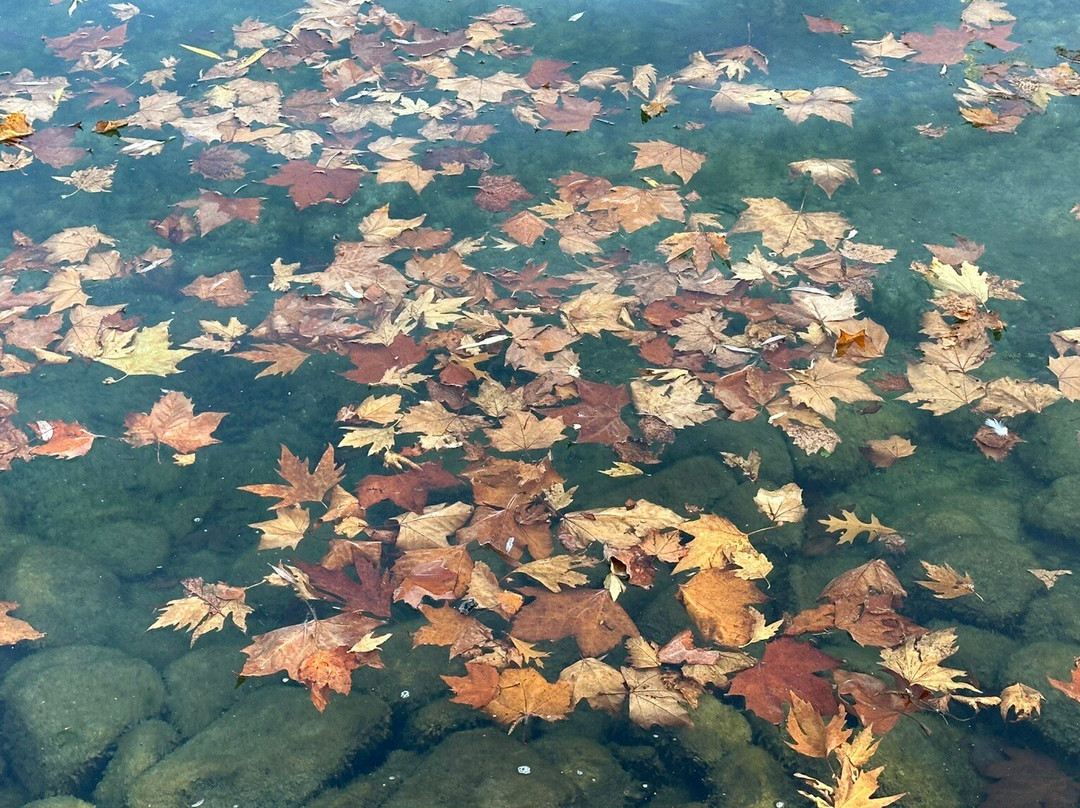 Park Villette-Cham必去景点