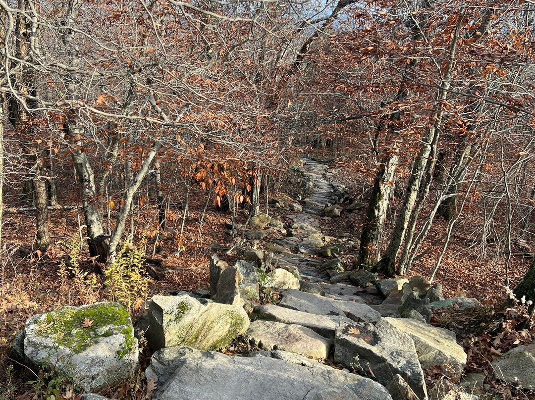 Wachusett Mountain State Reservation-Princeton必去景点