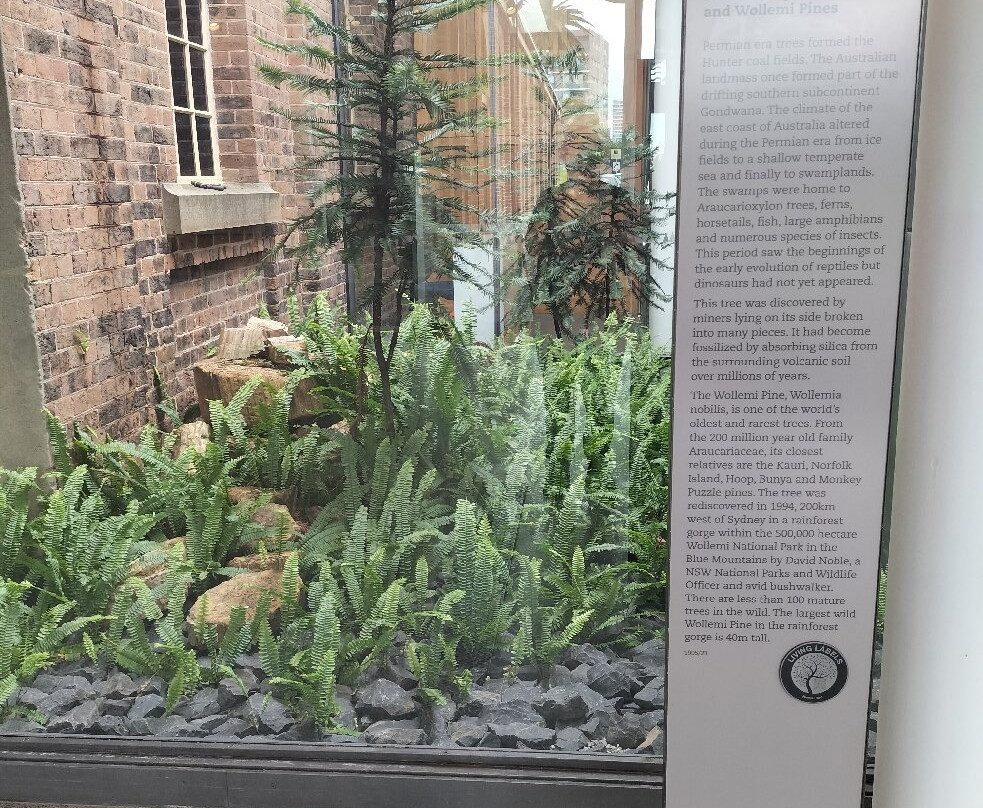 Newcastle Museum-纽卡斯尔必去景点