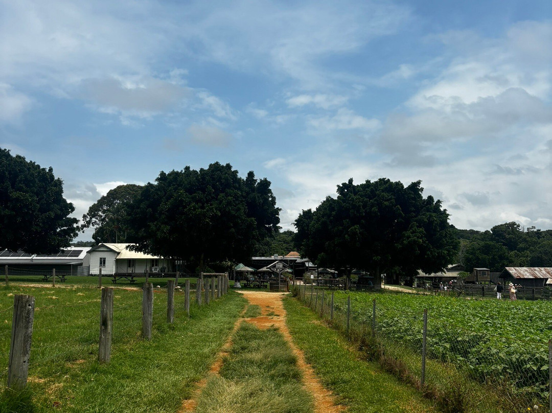 The Farm景点图片