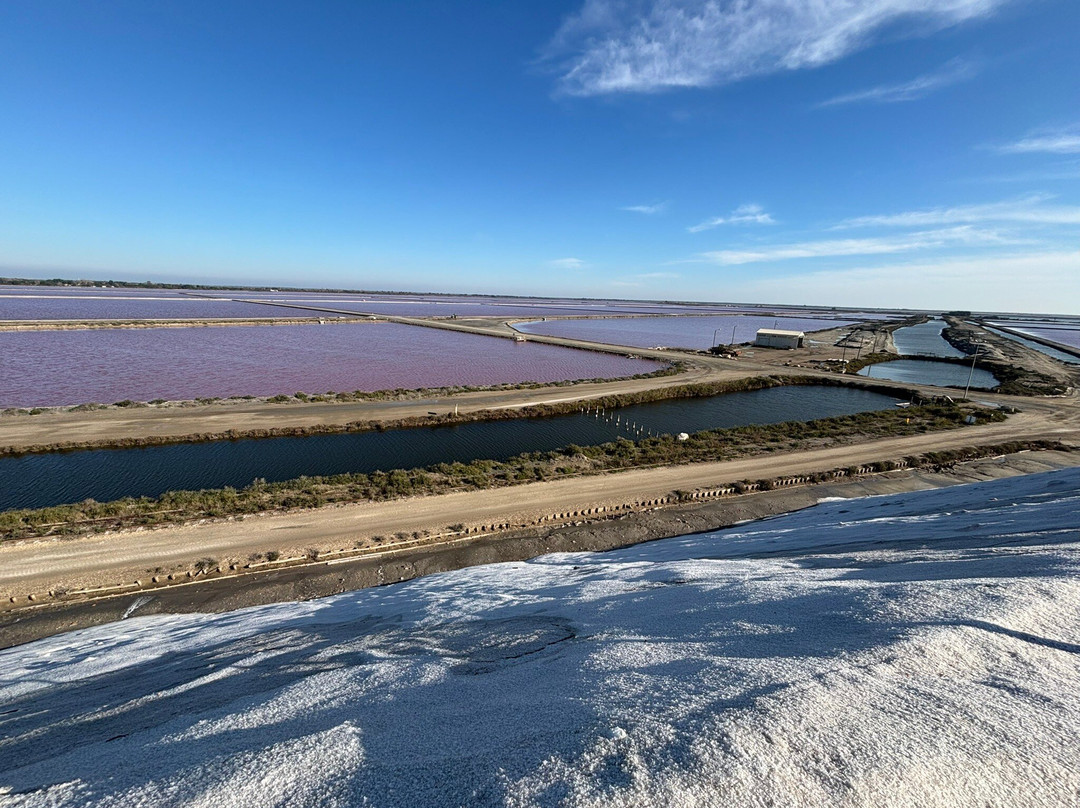 Salin d'Aigues-Mortes景点图片