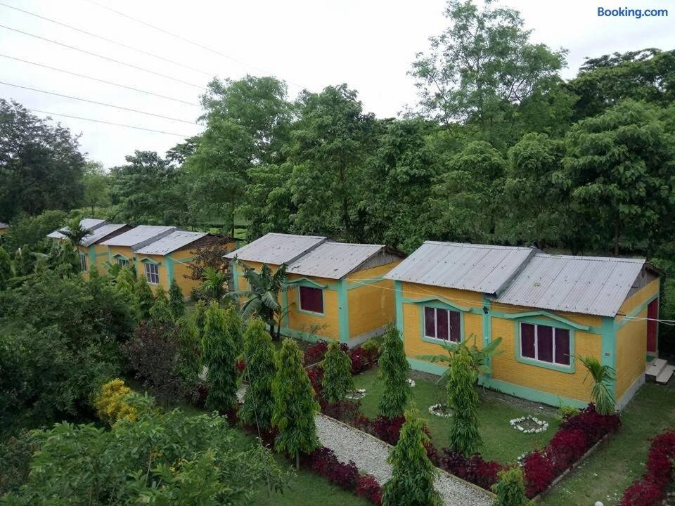 Mystic Resort Amidst Tea Garden