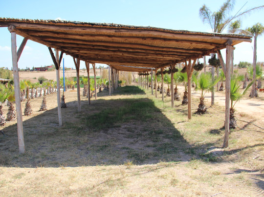 Skhirat Oasis Farm-萨亥拉特必去景点