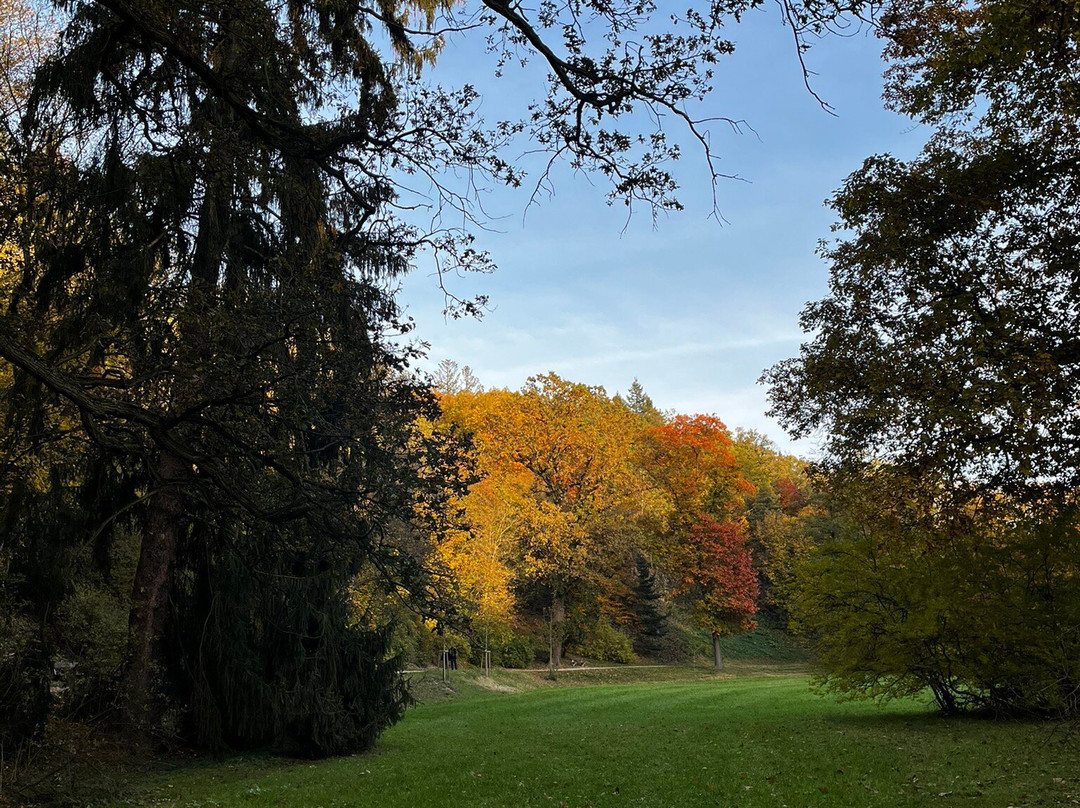 Pruhonice Park景点图片