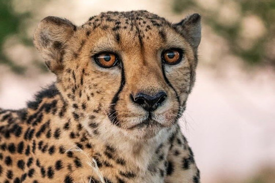 My Trip Adventures-Dar es Salaam必去景点