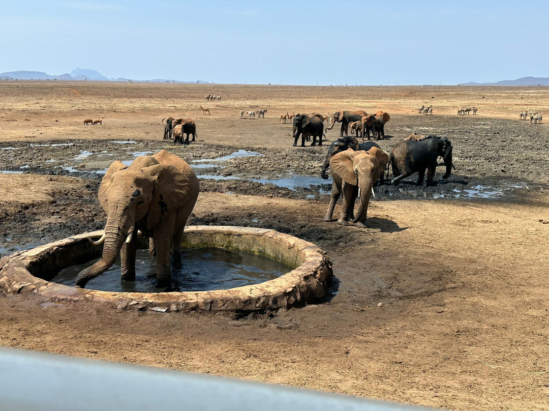 Elara luxury Safaris-蒙巴萨必去景点