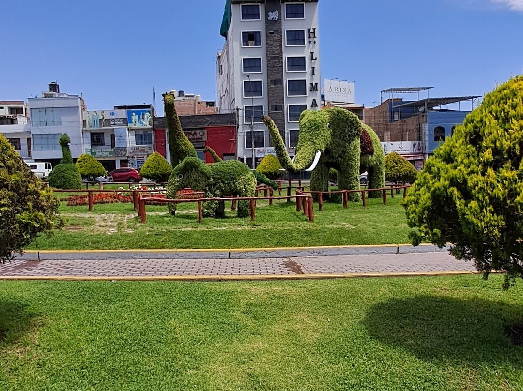 Feria 28 de Julio-塔克纳必去景点