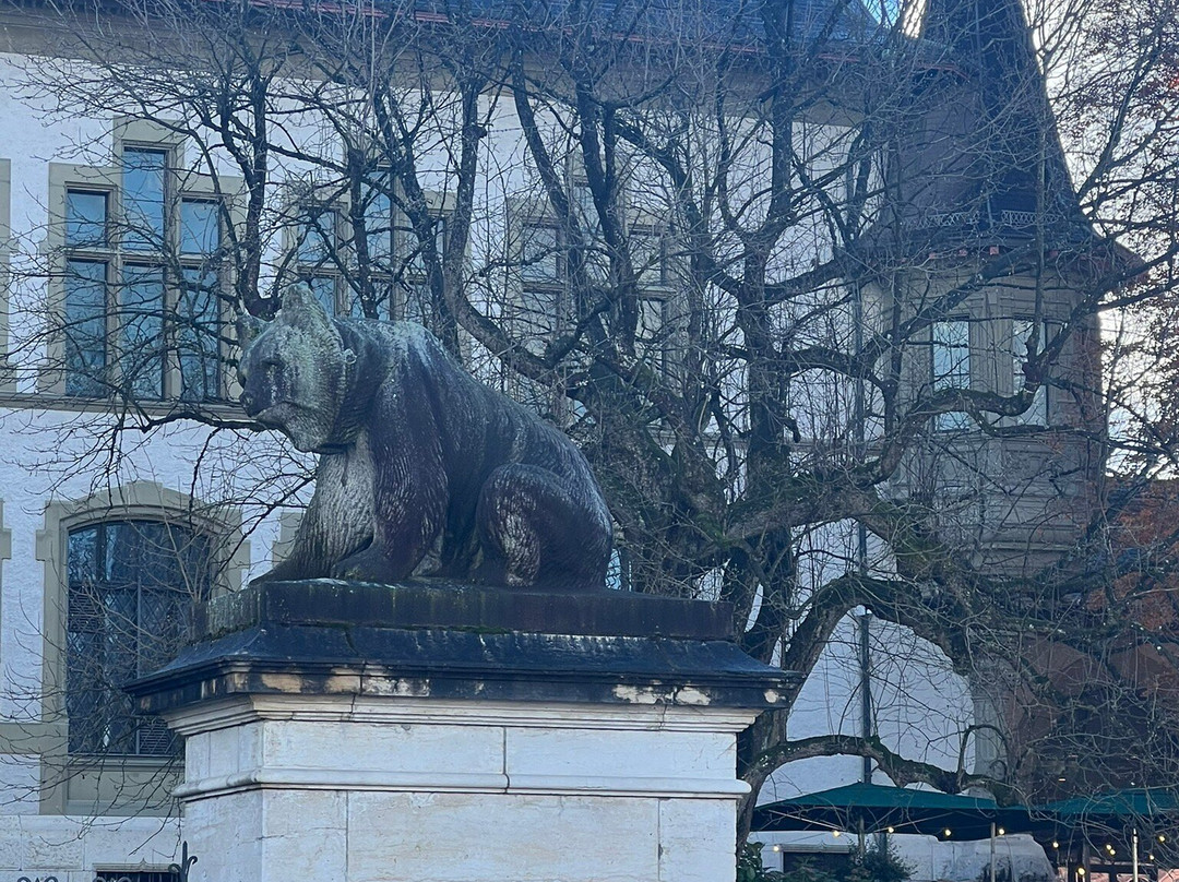 Bernisches Historisches Museum / Einstein Museum-伯尔尼必去景点