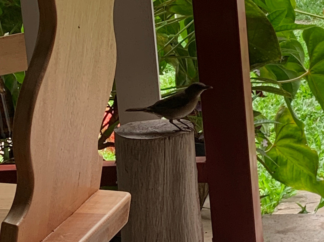 Haus Kohel - Hospedaje主图