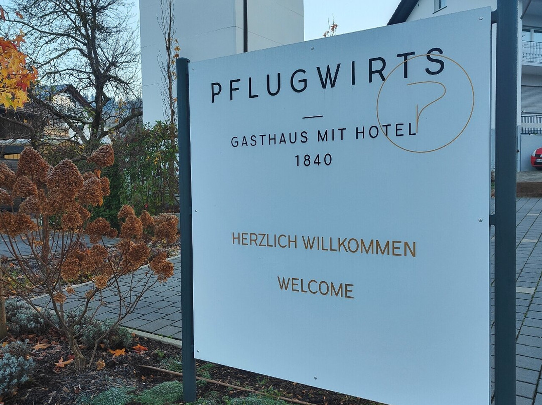 Pflugwirts Gasthaus mit Hotel主图
