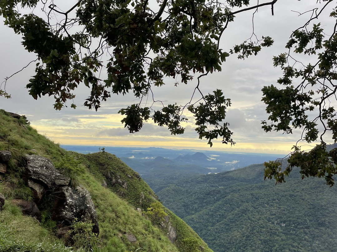 Sri Lanka Midigama Tours景点图片