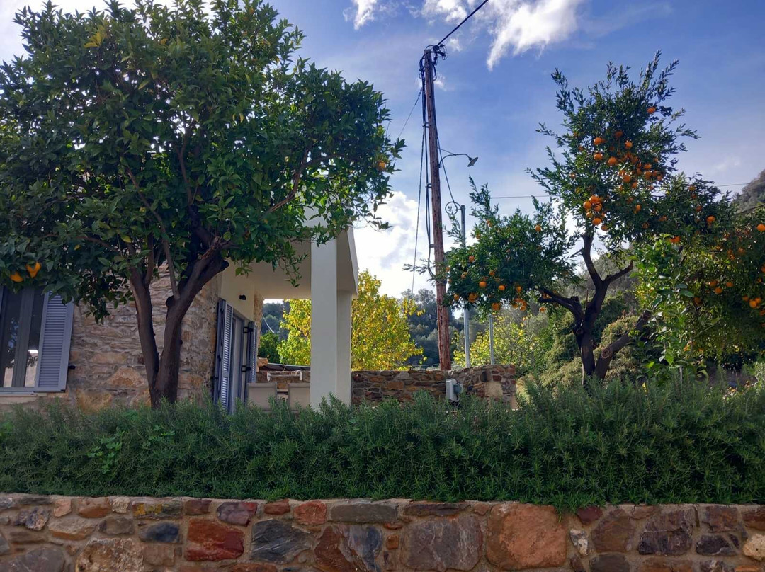 Evge Experience Boutique Hotel