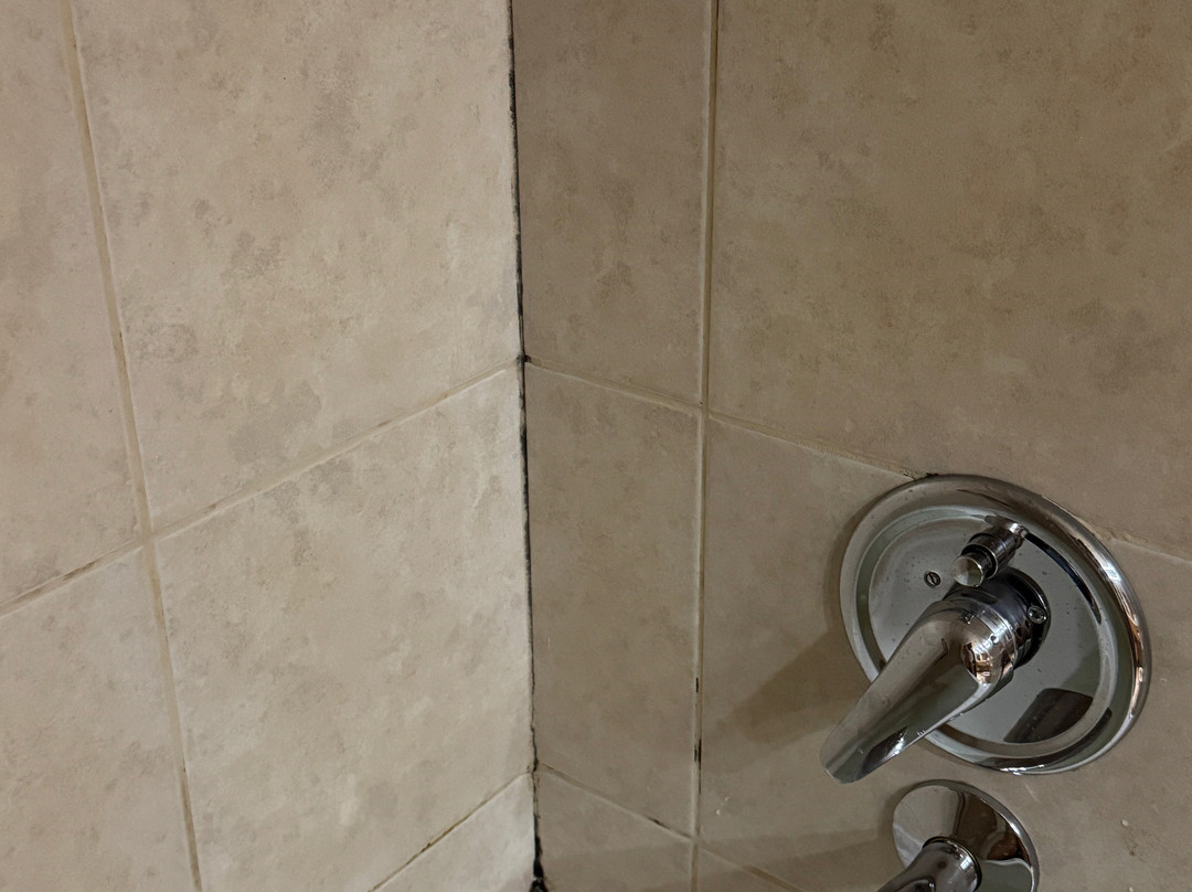 蓬塔阿雷纳斯圣迭戈德阿尔马格罗酒店主图