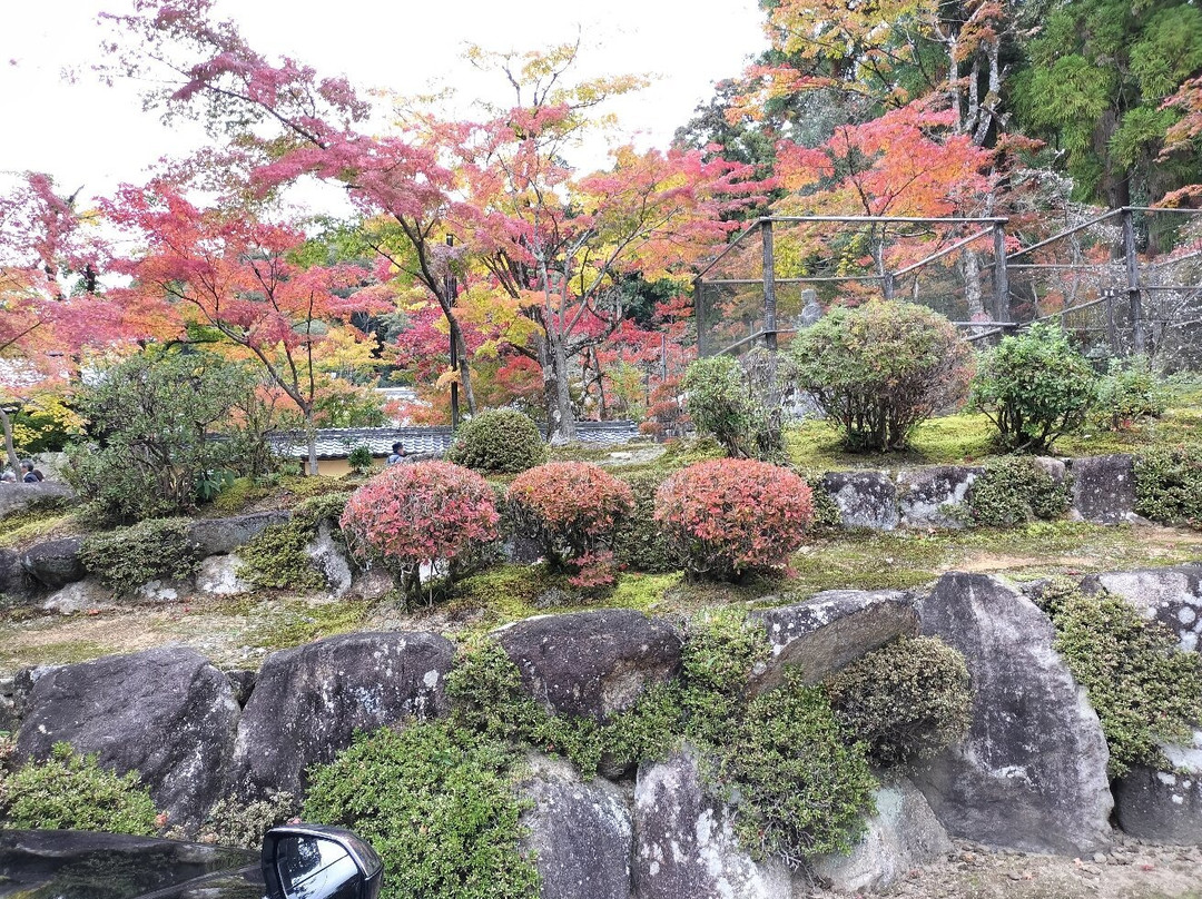 Saimyo-ji Temple-甲良町必去景点