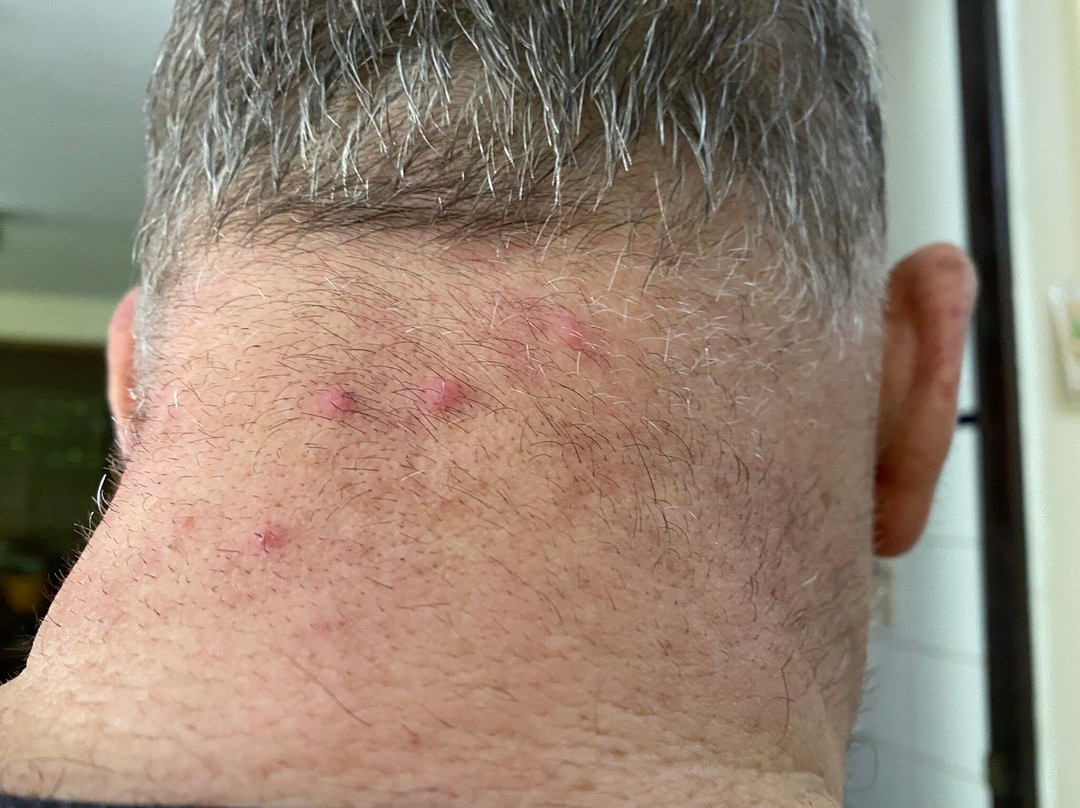 Extended Stay America - Boston - Marlborough主图