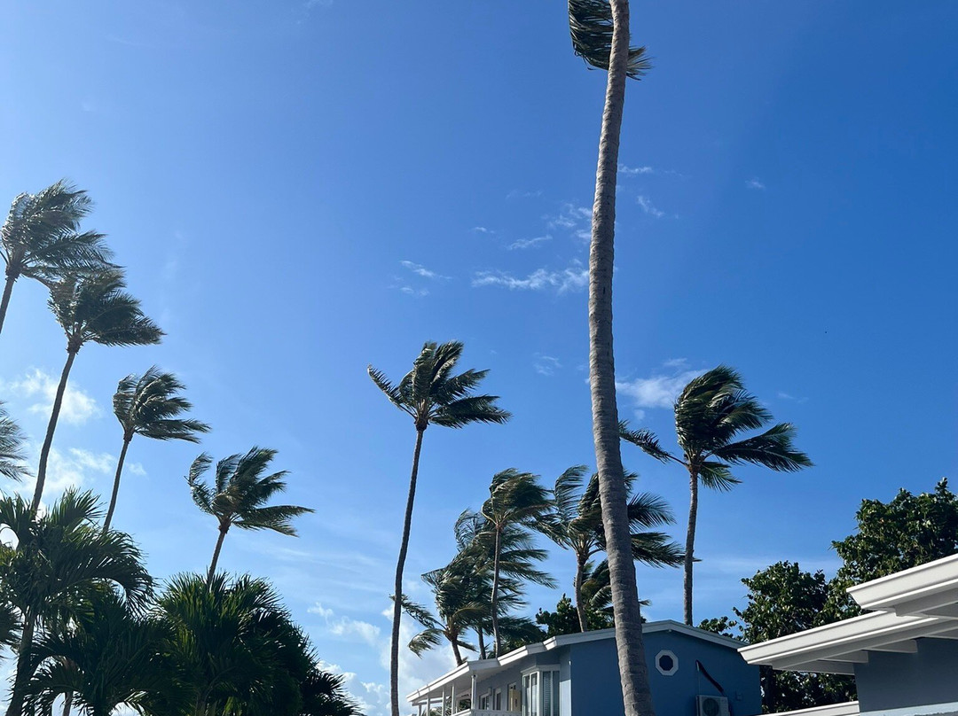 Sands of Islamorada Hotel主图