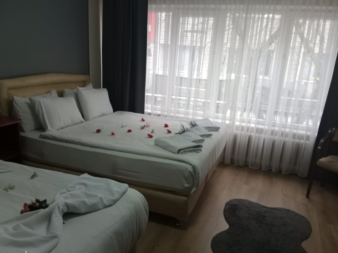 Hotel Cesmeli主图