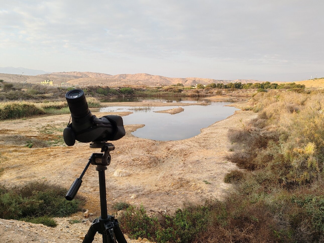 Al Ansab Wetland景点图片